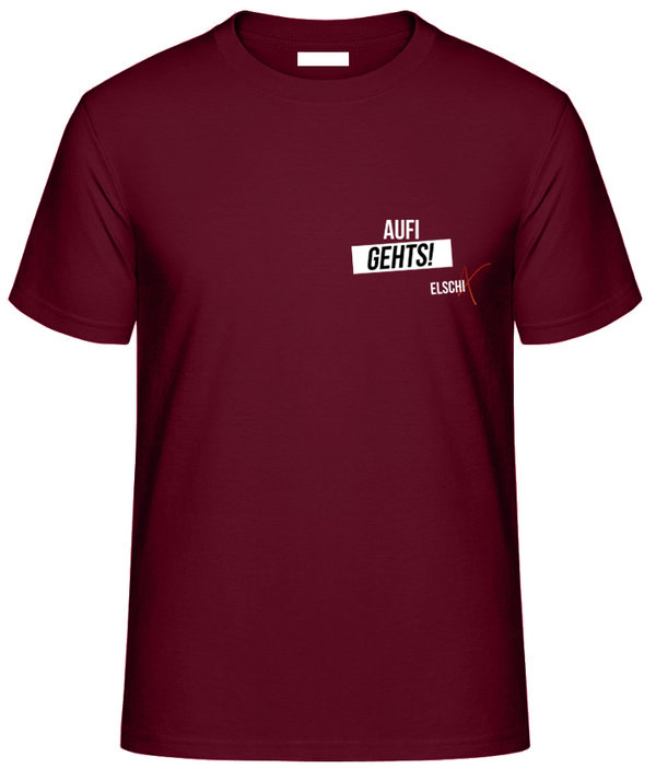 Aufi Gehts! Shirt Logo Klein