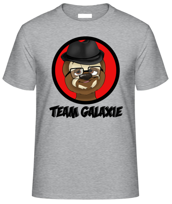 Herren Shirt Team Galaxie (Frontdruck)