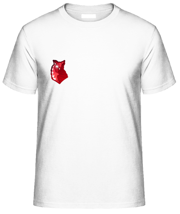 FAIR WEAR Unisex T-Shirt FRONT- UND RÜCKENDRUCK LOGO 1