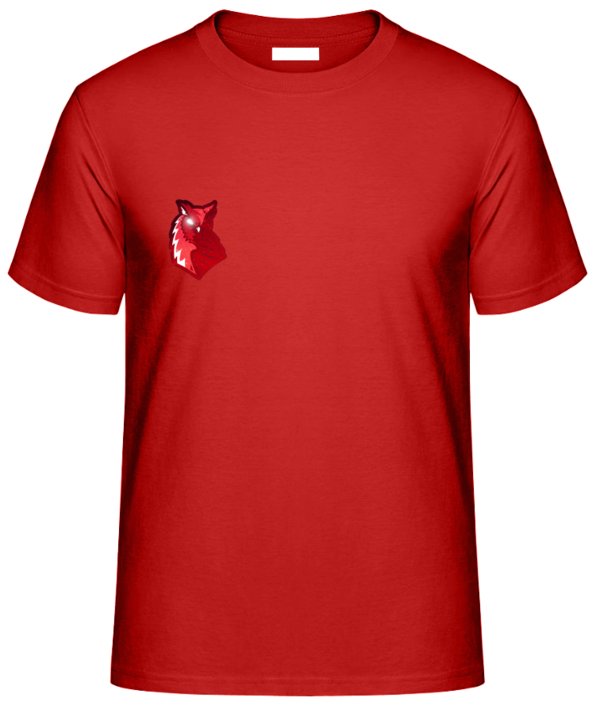 FAIR WEAR Unisex T-Shirt LOGO 1